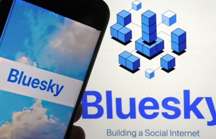 Bluesky a gagné 1 million d’utilisateurs depuis les élections américaines