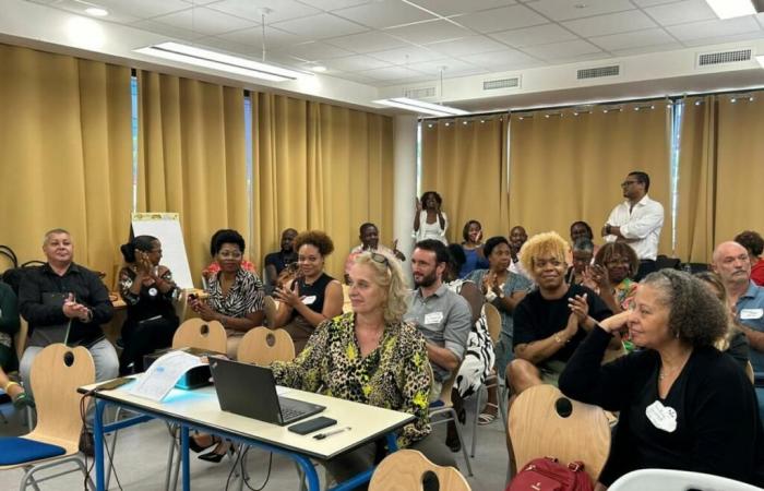 séminaire sur la transformation des services publics locaux de l’emploi – vers la création de comités locaux pour l’emploi