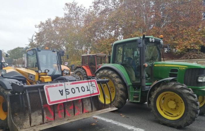 Toulouse. Les agriculteurs préparent une mobilisation à grande échelle d’ici la fin du mois