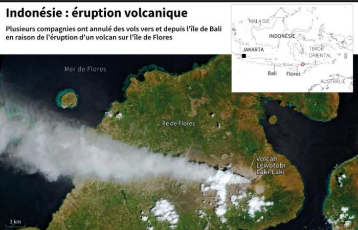 Vols annulés à Bali en raison d’une éruption volcanique – 13/11/2024 à 13h24