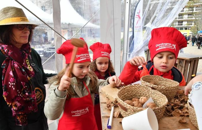 Cinq bonnes raisons d’aller au Festival du Livre Gourmand de Périgueux