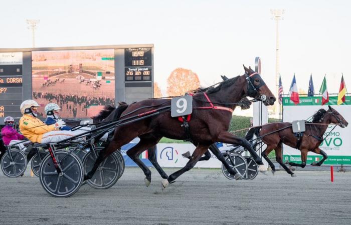 Prix ​​​​​​​​Pierre Plazen et Guy Deloison : Un match France