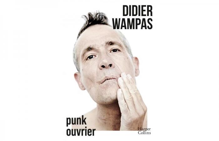 Didier Wampas, un working punk qui ouvre • Le Suricate