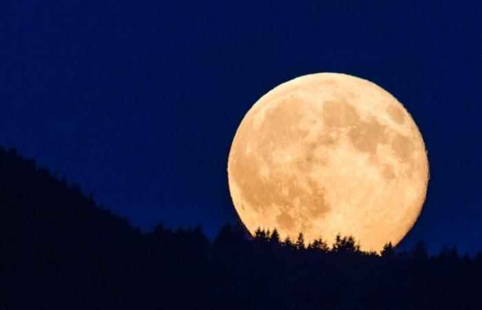 La Super Lune du 15 novembre 2024 nous poussera à vaincre nos résistances au changement