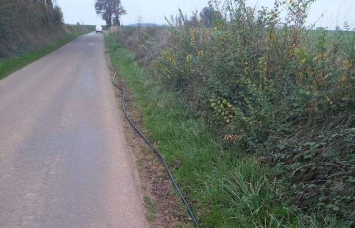 300 abonnés privés de téléphone dans cette commune de l’Orne