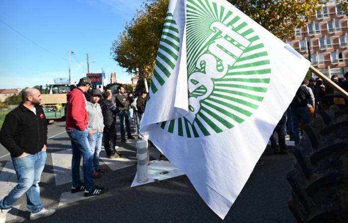 « Notre syndicat est apolitique, contrairement à nos concurrents »… La FDSEA 47 se lance dans la course à la Chambre d’agriculture