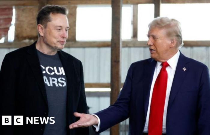 Trump choisit Elon Musk pour le conseiller sur la manière de « démanteler » la bureaucratie