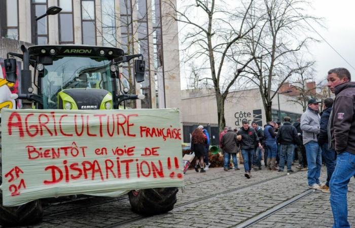 Plus de 600 parlementaires français affirment dans une tribune leur opposition à l’accord commercial entre l’Union européenne et le Mercosur