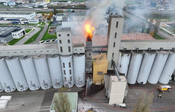 Incendie dans un séchoir à grains à Beaune : une quarantaine de pompiers mobilisés