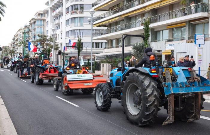 les actions prévues dans tous les départements se précisent