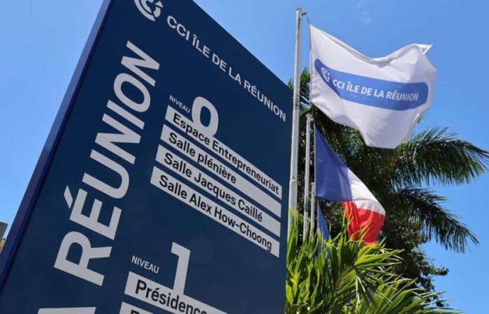 La CCI Réunion se mobilise pour l’orientation professionnelle