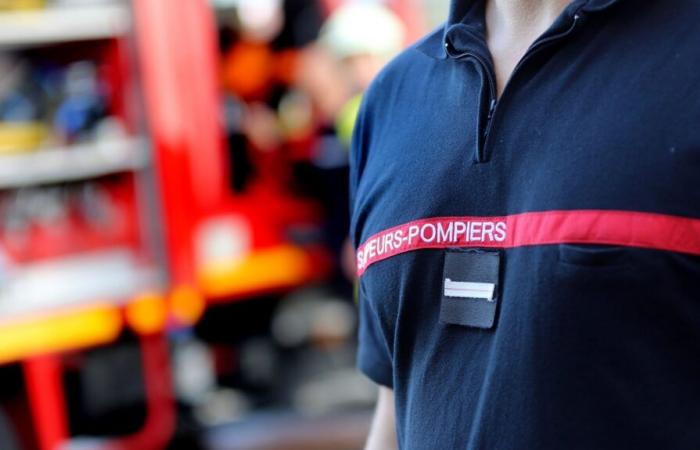 Comment éviter les arnaques au calendrier ? Ces pompiers de Loire-Atlantique répondent