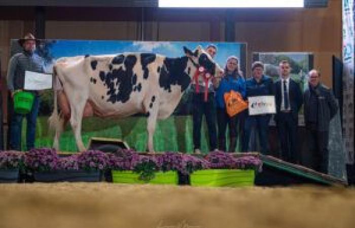 Lauréats du concours départemental de l’Orne 2024