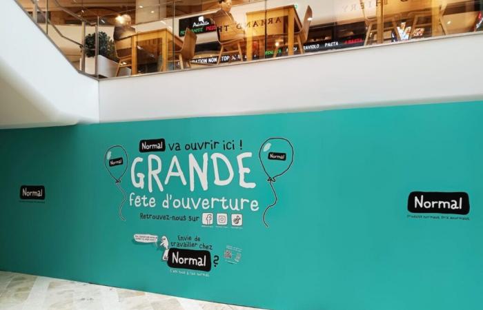 Marseille. Magasin normal, discount, ouvre près du Vieux-Port : voici où