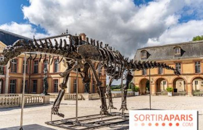 Vulcain, le plus gros dinosaure vendu aux enchères ce samedi 16 novembre à Dampierre-en-Yvelines