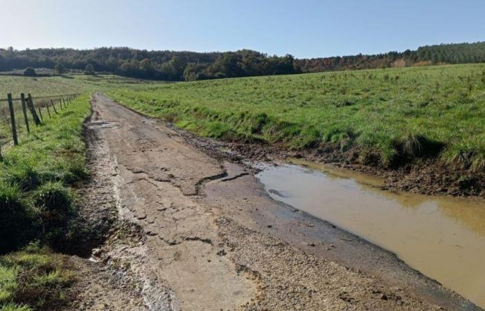 Des Dordognes dénoncent l’état de la route endommagée par la livraison de tonnes de carottes