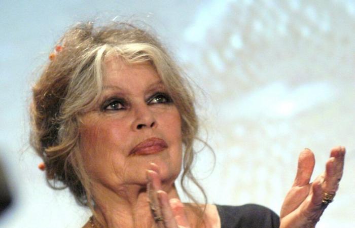 Mariée quatre fois, Brigitte Bardot évoque sa vie amoureuse : “Je n’ai jamais…”