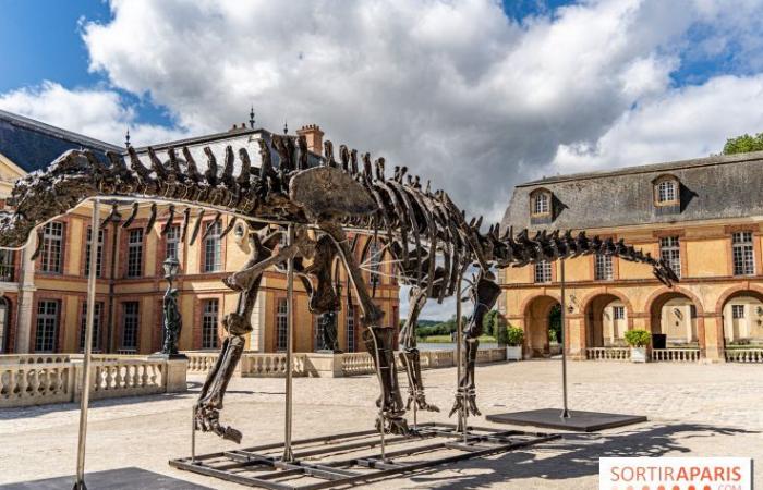 Vulcain, le plus gros dinosaure vendu aux enchères ce samedi 16 novembre à Dampierre-en-Yvelines