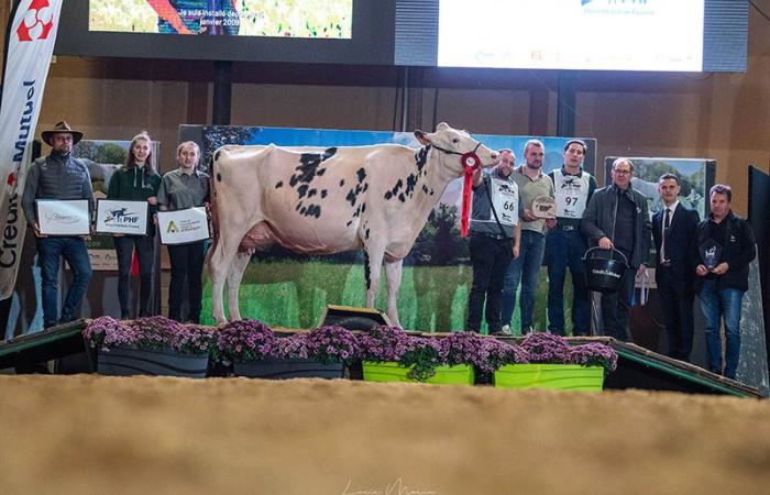 Lauréats du concours départemental de l’Orne 2024