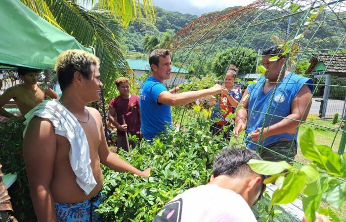 Une vague végétale prend forme à Vairao