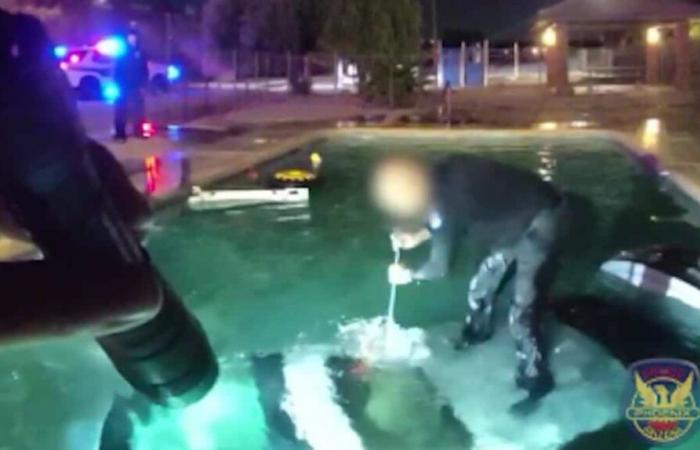 EN VIDÉO | Sauvetage in extremis : la police dégage un conducteur d’un véhicule plongé dans une piscine