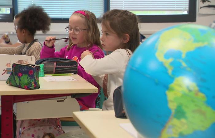 Des dizaines de cartes postales arrivent chaque jour à l’école de Plouarzel, “ça nous fait découvrir le monde”