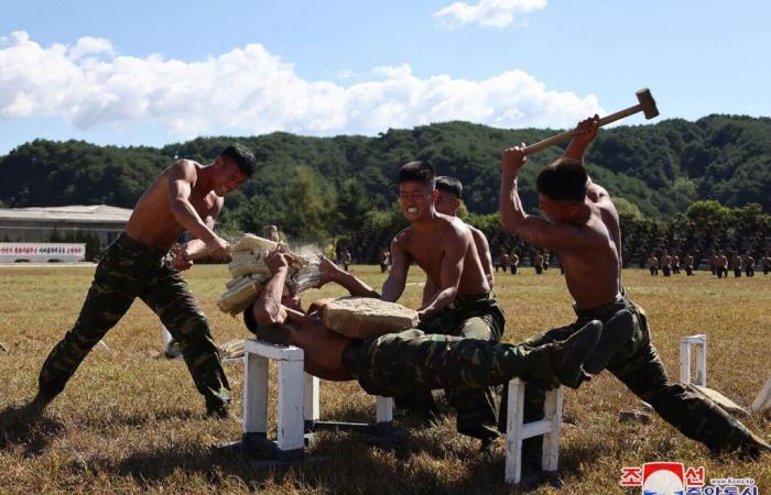 Sur le front russo-ukrainien, l’épreuve du feu de l’armée nord-coréenne