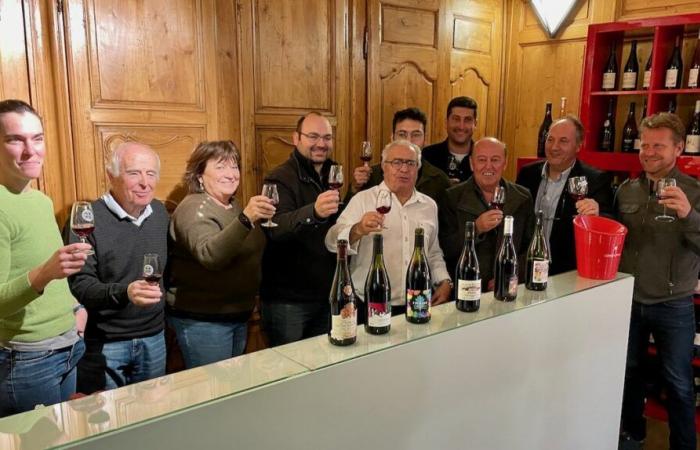 GARD RHODANIEN Avec la Balade du primeur, le vin nouveau est vecteur de convivialité