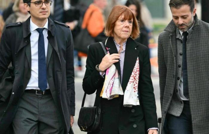 Pour ses avocats, Gisèle Pélicot « a déjà gagné son combat »