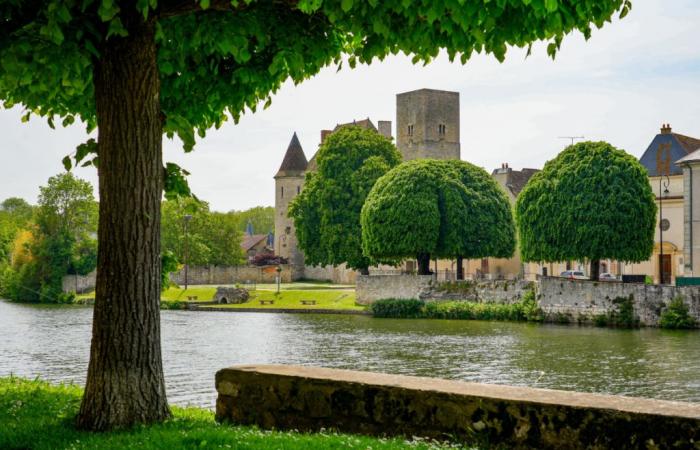 une fillette de 3 ans tombe à l’eau, sa mère tente un geste désespéré pour la sauver mais le résultat est terrible