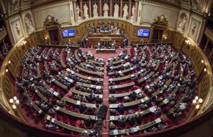 le Sénat s’oppose à l’interdiction des spectacles pour les mineurs de moins de 16 ans