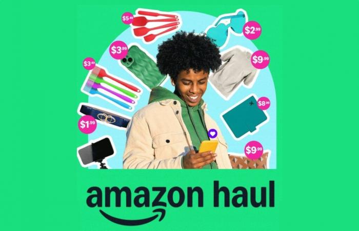 Amazon lance « Haul », son application qui baisse les prix face à Temu et Shein