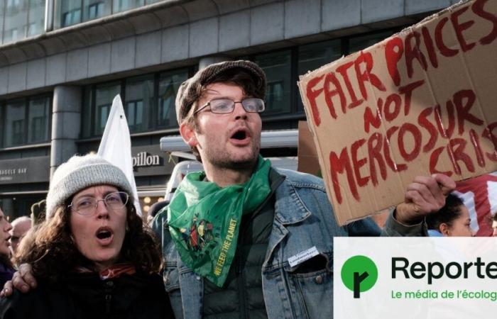 les agriculteurs dénoncent le traité UE-Mercosur