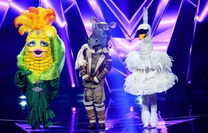 « Masked Singers », le spectacle qui est un véritable « plaisir coupable »