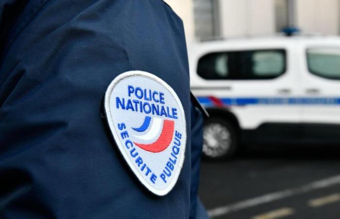 un homme heurté par un train suite à un incident avec des agents de la RATP