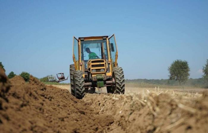 Dans le Haut-Rhin, les jeunes agriculteurs expriment leur colère ce jeudi en allumant des feux