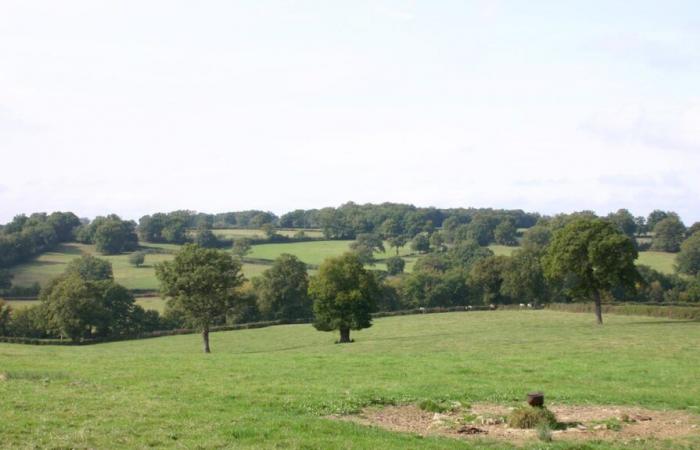 Parc naturel régional du Sud-Berry, dans l’Indre : les opposants s’agacent