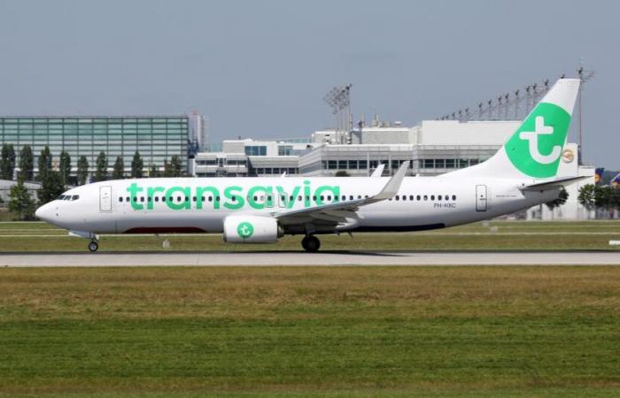 perturbation minime, avec seulement quatre vols Transavia annulés