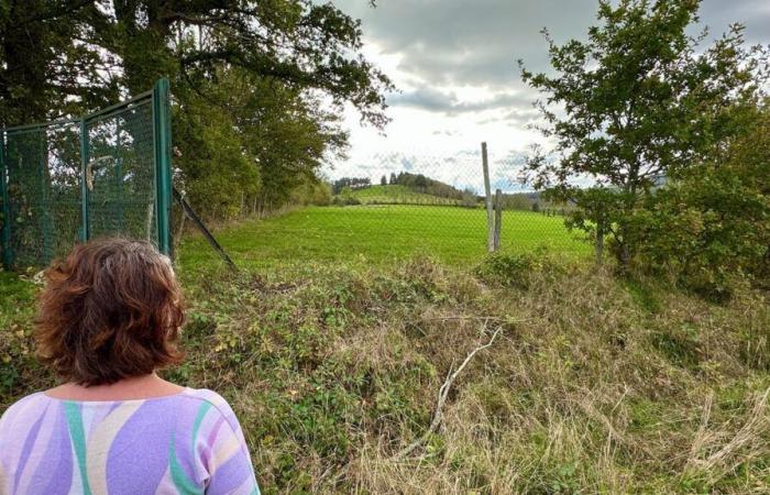 Les habitants du Puy-de-Dôme s’opposent à un projet de centrale géothermique