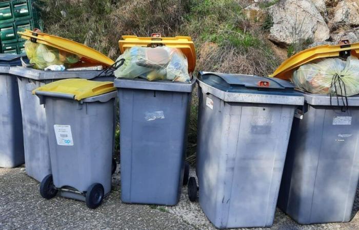 Cinq communes du Grand Avignon modifient leurs jours de collecte des déchets