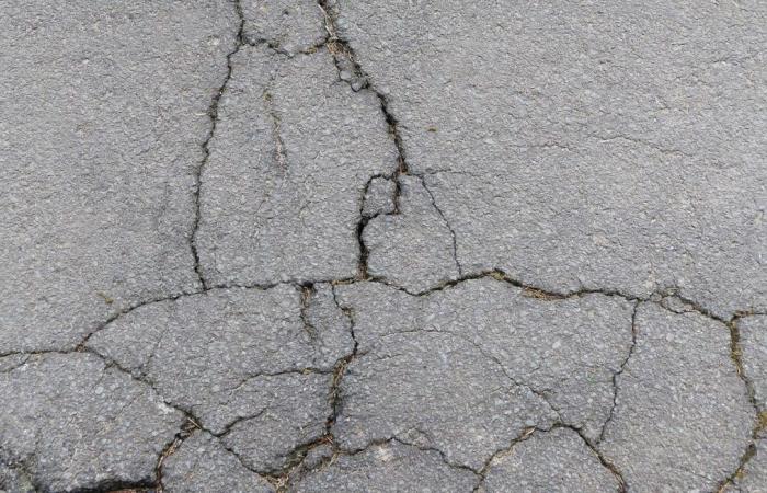 Ils dénoncent les dégâts sur les routes dus au transport de carottes