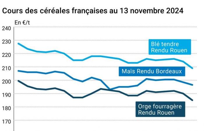 Céréales – Nouvelle forte baisse des prix des céréales aux États-Unis