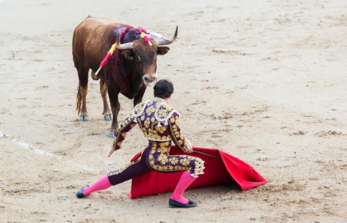 L’interdiction de la tauromachie pour les mineurs soutenue par un élu du Lot-et-Garonne