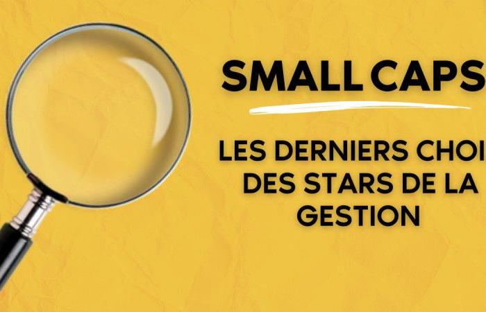 Small Caps – Les derniers choix des stars du management