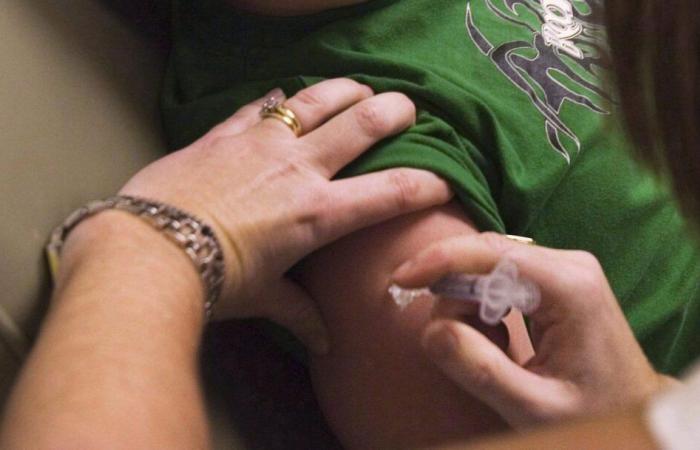 Les taux de vaccination sont stables au Nouveau-Brunswick