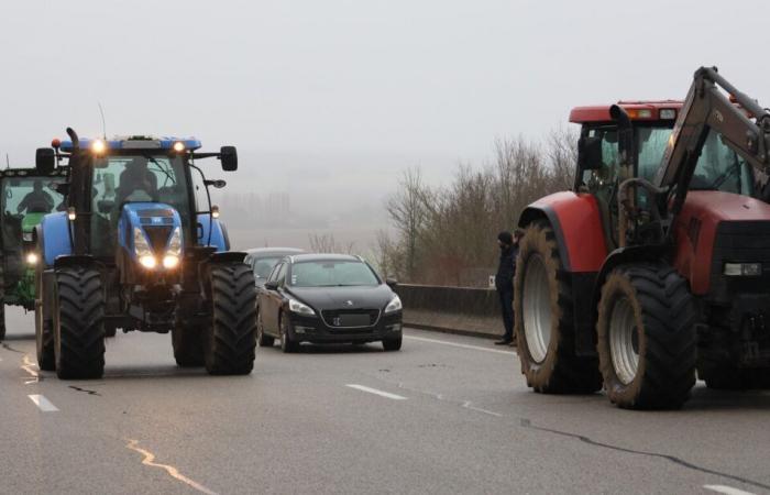 Ils ne veulent pas mourir en silence, les agriculteurs annoncent une manifestation dans l’Oise