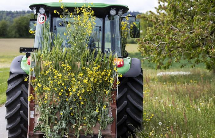 Les agriculteurs suisses prêts à s’engager pour une production durable