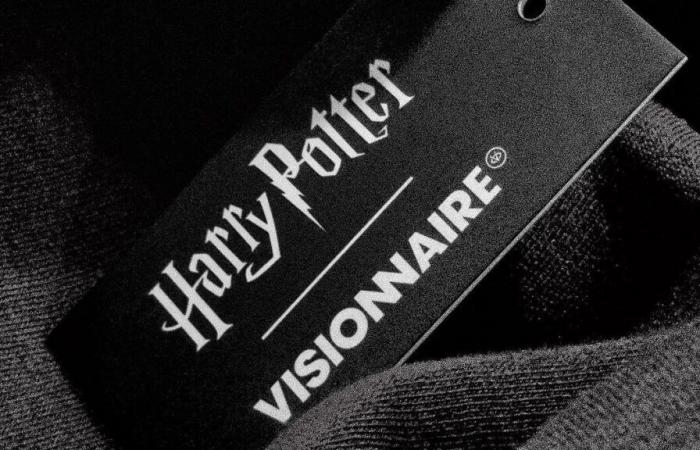 La marque Visionnaire, créée par Bigflo et Oli, lance une collection de vêtements Harry Potter