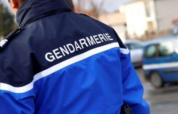 Un homme vole et brûle une camionnette de livraison dans la Manche, il sera bientôt jugé