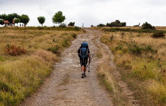 L’Université Saint-Paul prend le chemin de Compostelle